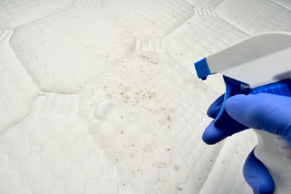WHAT SHOULD WE DO WITH A MOLDY MATTRESS?